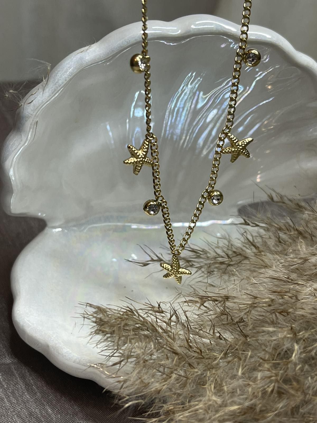 εικόνα_Viber_2025-04-12_21-51-44-495