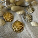 Sunkissed shell